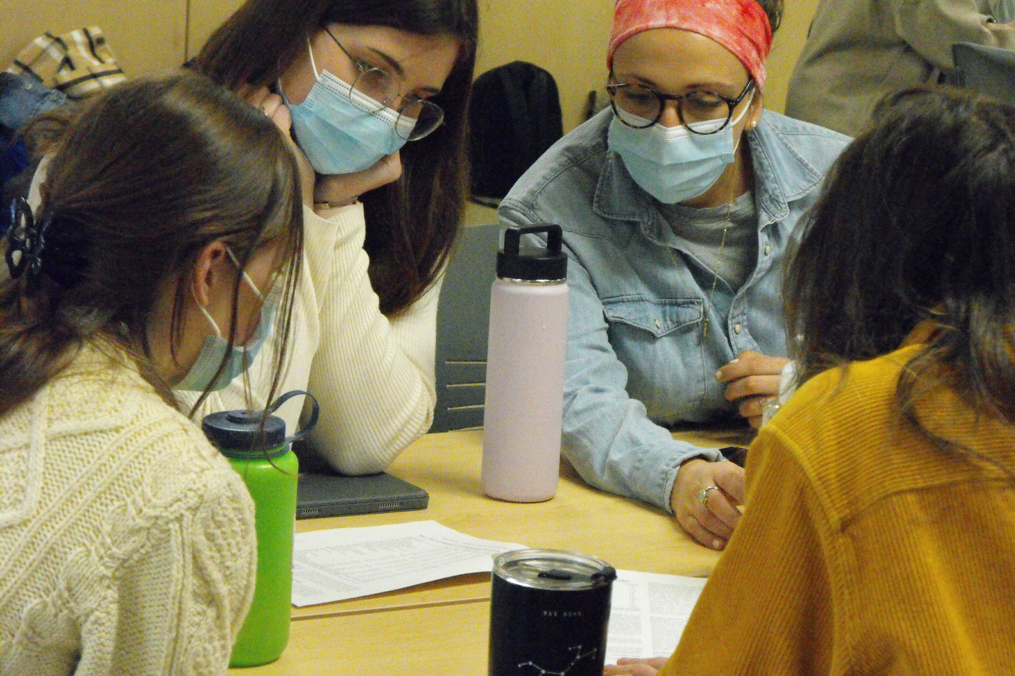 New undergraduate course: OSOT 301 Introduction to Human